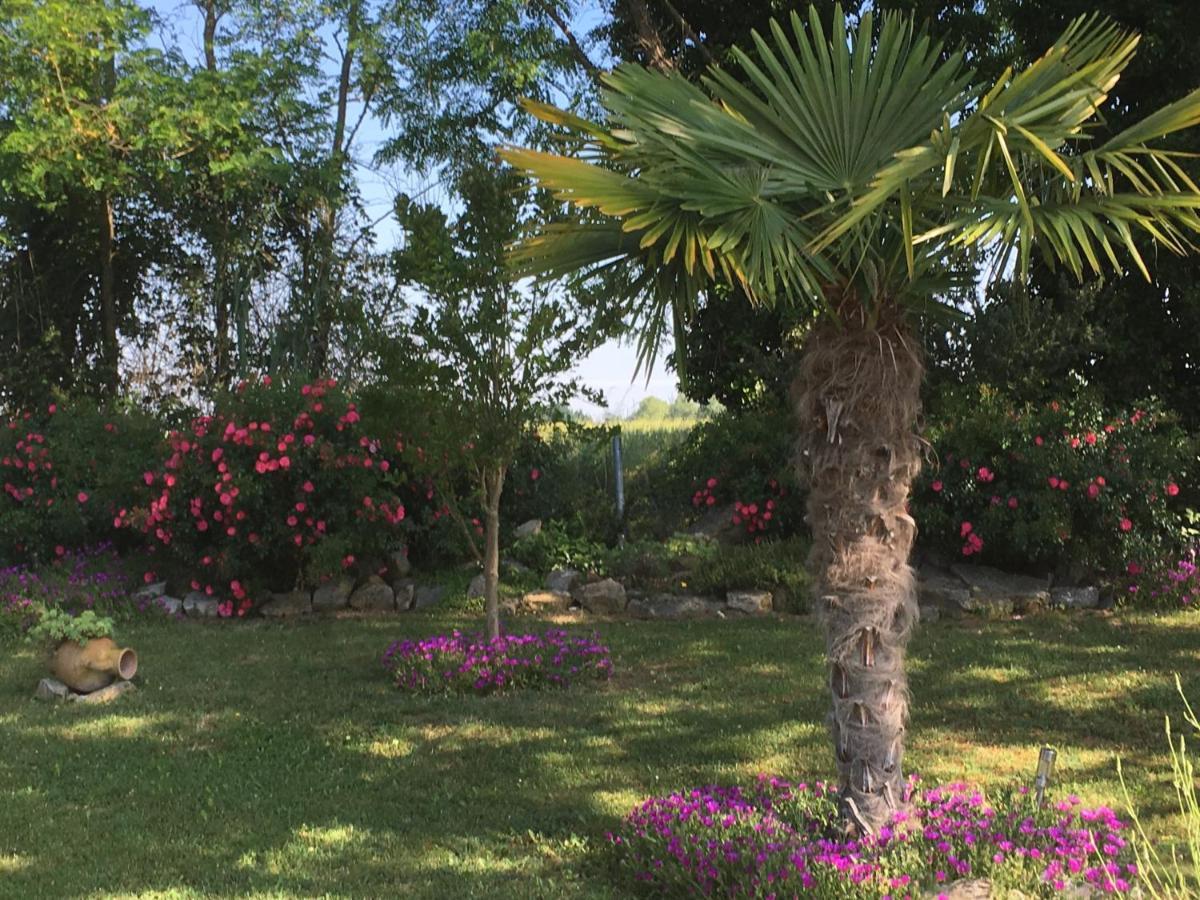 Appartement Mansarde Et Climatise 50 M2 Pompignan  Exteriör bild